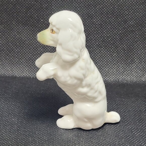 Vintage White Poodle Sitting Begging Bone China Figurine Gift Craft Canada - Picture 2 of 8